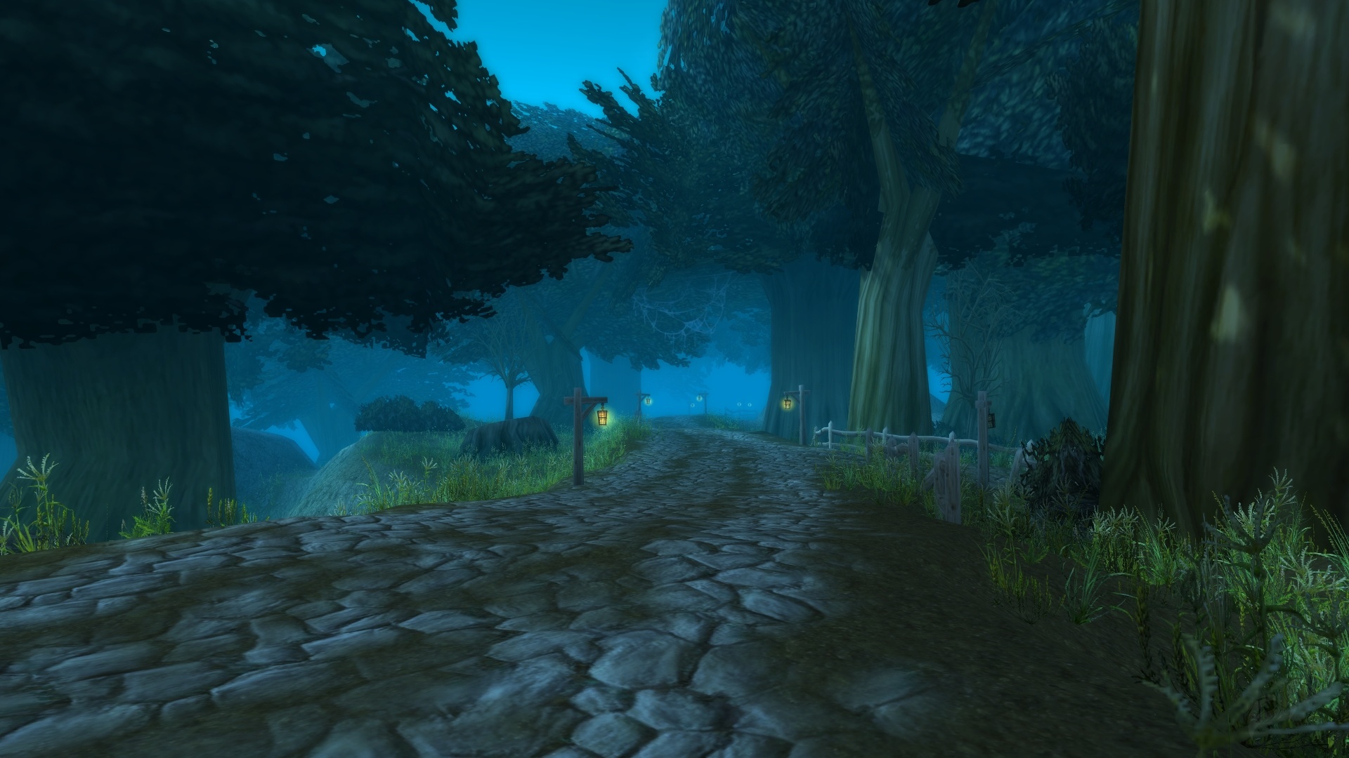 A winding path through Duskwood, flanked by tall trees and overgrown foliage