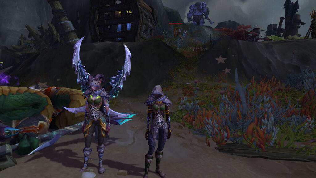 Two demon hunters standing side by side in World of Warcraft. One is actively protecting the other while their player is away from the keyboard.