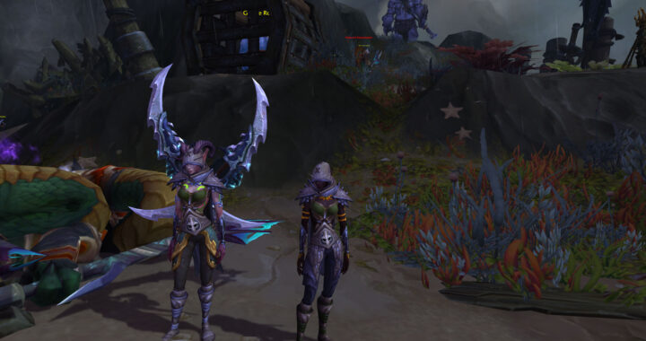 Two demon hunters standing side by side in World of Warcraft. One is actively protecting the other while their player is away from the keyboard.